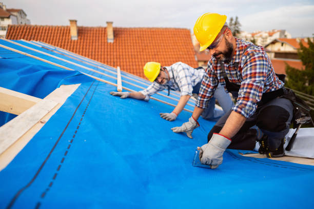 Roof Gutter Cleaning in Crivitz, WI